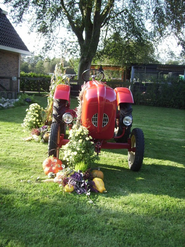 porsche junior, eig: BJ Hielkema katlijk porsche junior, eig: BJ Hielkema katlijk